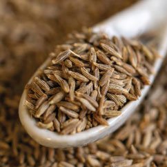 Cumin Seed